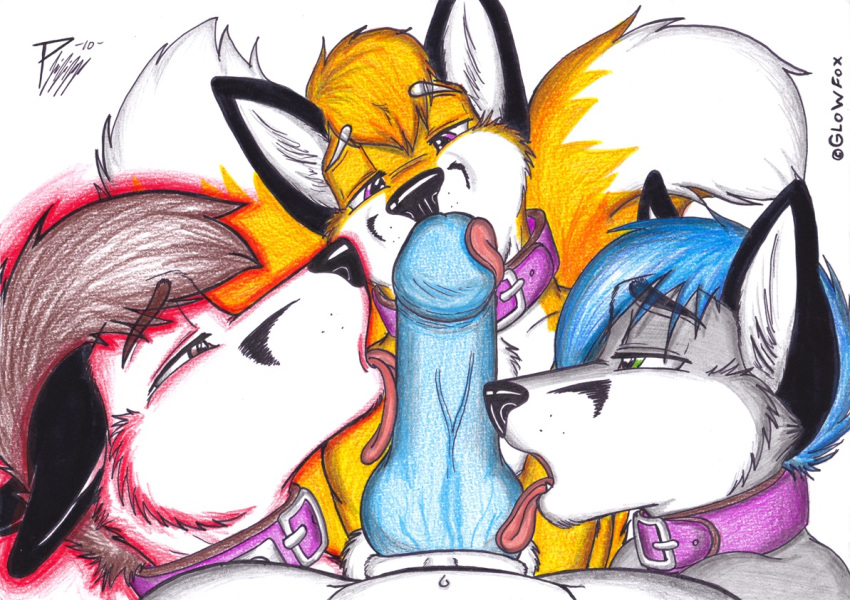 alex_frostpaw anthro badcoin balls blue_penis brown_eyes canine collar fox fur furry furry_tail glowfox green_eyes knot licking male multiple_tails oral orgy penis purple_eyes retracted_foreskin sheath tail takum tongue