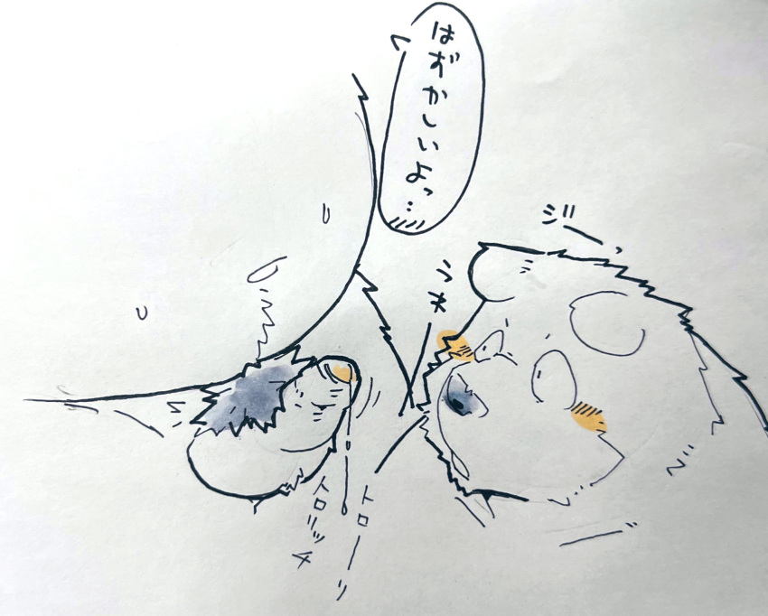 2022 anthro balls belly big_belly blush bodily_fluids duo erection genital_fluids genitals hi_res japanese_text kemono male male/male mammal navel overweight overweight_male penis precum pubes small_penis suishou0602 text ursid