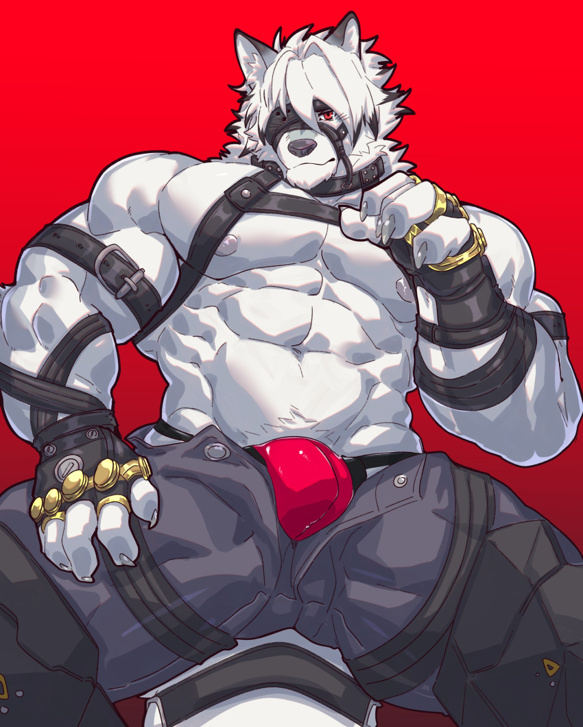 1boy abs absurd_res anthro belt biceps black_clothing bulge canid canine canis clothed clothing fur gloves hair handwear harness hi_res istani looking_at_viewer male male_only mammal muscular muscular_anthro muscular_male nipples one_eye_obstructed partially_clothed pecs red_eyes solo topless topless_anthro topless_male video_games von_lycaon white_body white_fur white_hair wolf zenless_zone_zero