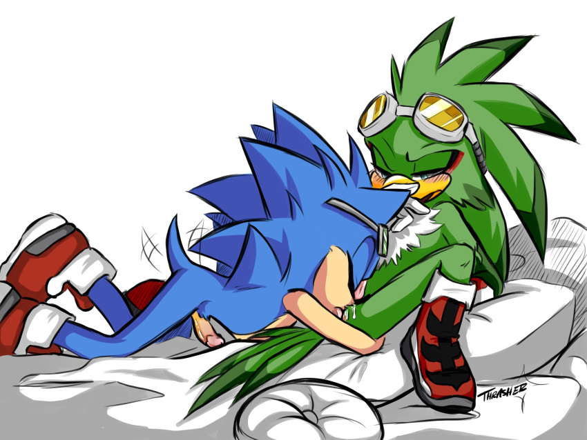 anthro anthro_only cloaca furry furry_only gay hawk hedgehog jet_the_hawk licking mobian_(species) penis sega sonic_(series) sonic_riders sonic_the_hedgehog sonic_the_hedgehog_(series) tailwag yaoi