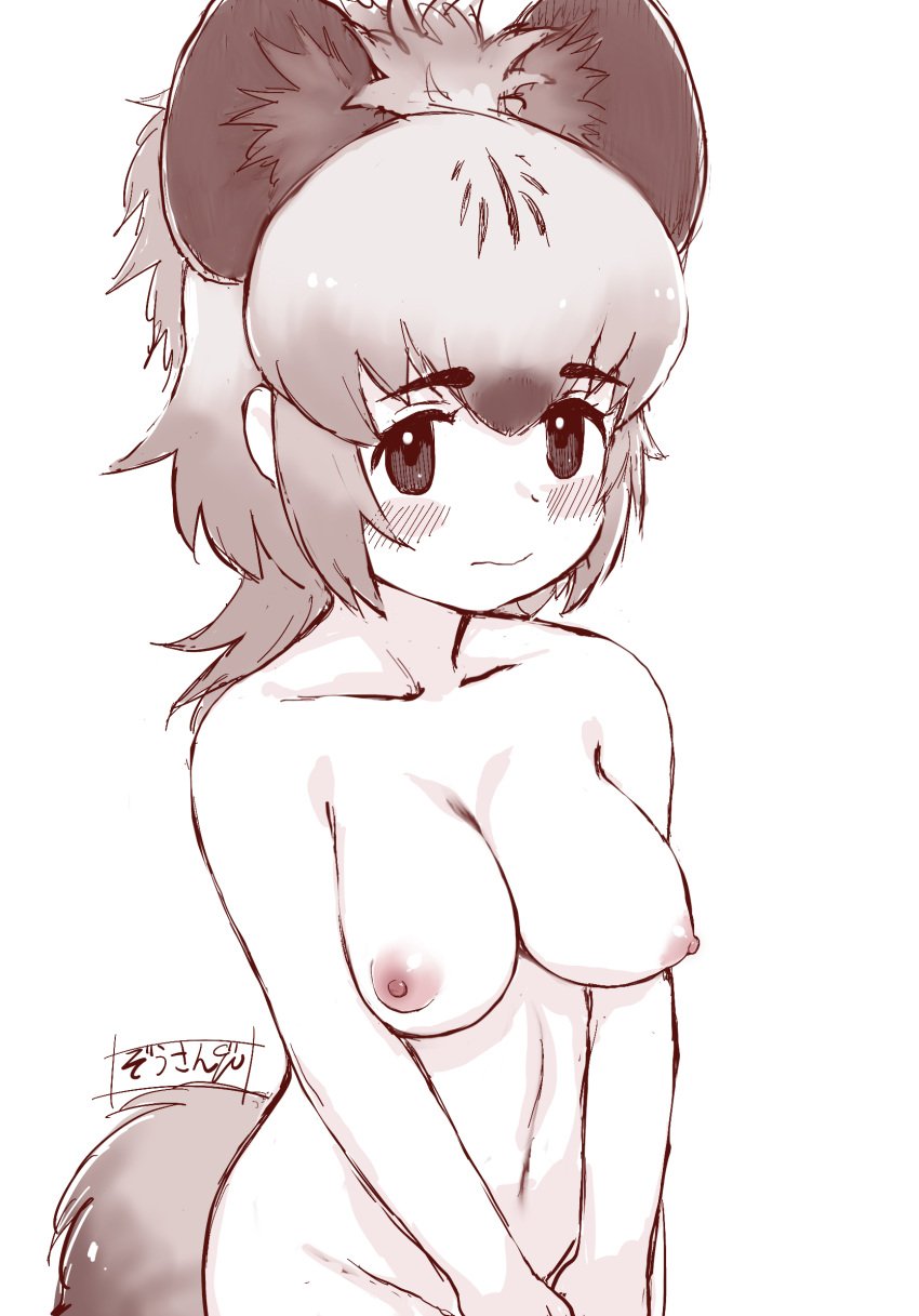 animal_ears bangs blush breasts closed_mouth collarbone covering covering_crotch extra_ears female groin highres hyena_ears hyena_girl hyena_tail kemono_friends long_hair looking_at_viewer masuyama_ryou medium_breasts monochrome navel nipples nude sidelocks solo spotted_hyena_(kemono_friends) stomach tail teeth upper_teeth v_arms