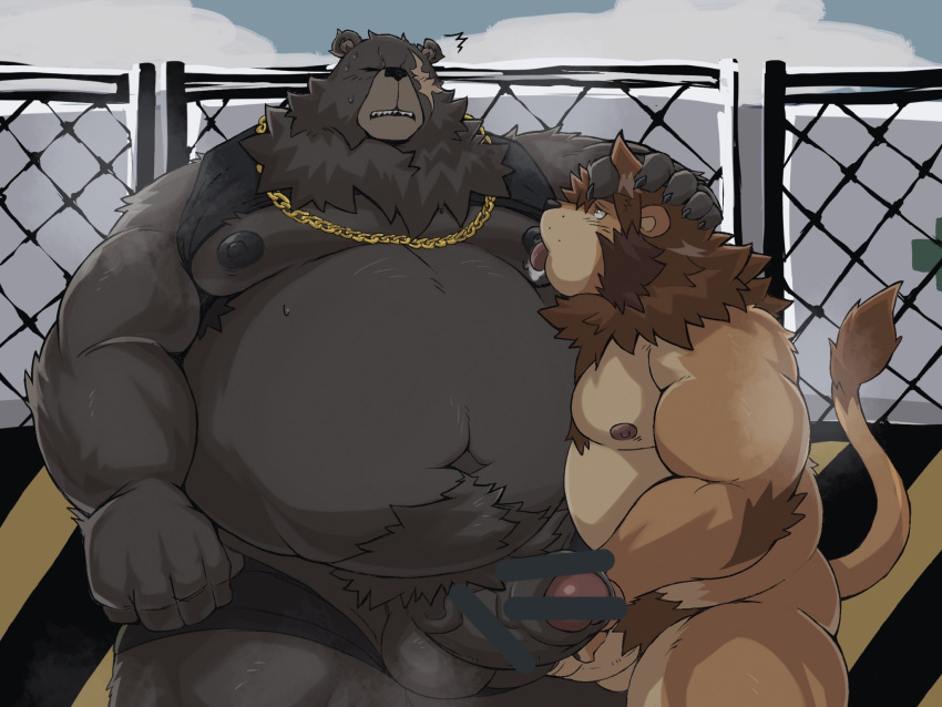 anthro balls belly ben_(zenless_zone_zero) ben_bigger big_balls big_belly big_penis black_nipples blush bodily_fluids brown_bear censored chains chubby_male clothed clothing duo erection eye_scar facial_scar felid foreskin fur genitals grizzly_bear gunso_p hi_res holding_penis huge_balls huge_cock humanoid_genitalia humanoid_penis kemono licking lion looking_pleasured male male/male male_only mammal mihoyo neck_tuft nipple_fetish nipple_lick nipple_play nipples pantherine partially_clothed penis raised_clothing raised_shirt raised_topwear ross_(rossciaco) saliva scar shirt slightly_chubby sweat tongue tongue_out topwear tuft underwear underwear_down ursid ursine video_games zenless_zone_zero