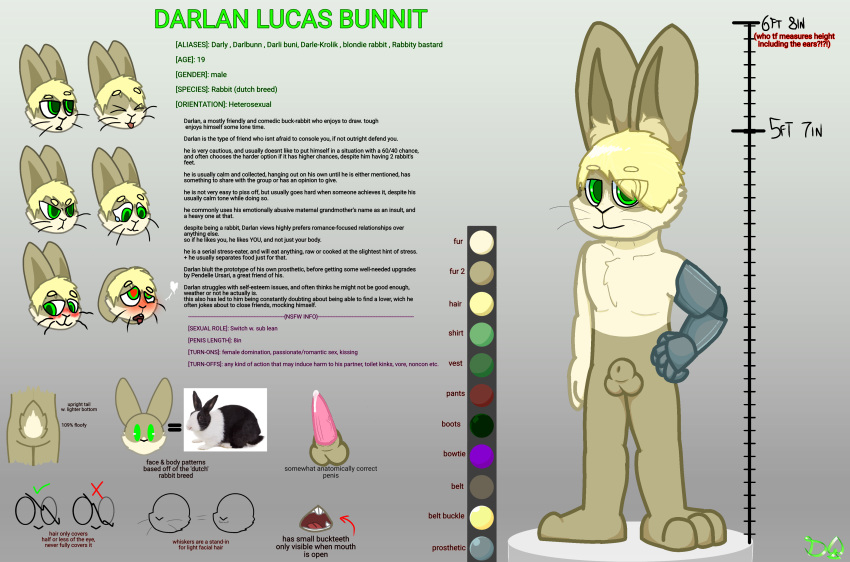 absurd_res ahe_gao angry animal_genitalia animal_penis biped blonde_hair blush character_bio character_name clothing darlan_bunnit darli_buni digital_media_(artwork) domestic_rabbit dutch_rabbit english_text expression_sheet fingers footwear fur genitals gradient_background hair hi_res lagomorph lagomorph_penis leporid looking_at_viewer looking_pleasured male mammal model_sheet nude open_mouth oryctolagus penetration penile penile_penetration penis profanity prosthetic prosthetic_arm prosthetic_limb rabbit sad signature simple_background solo standing stock_image teeth text tongue tongue_out whiskers