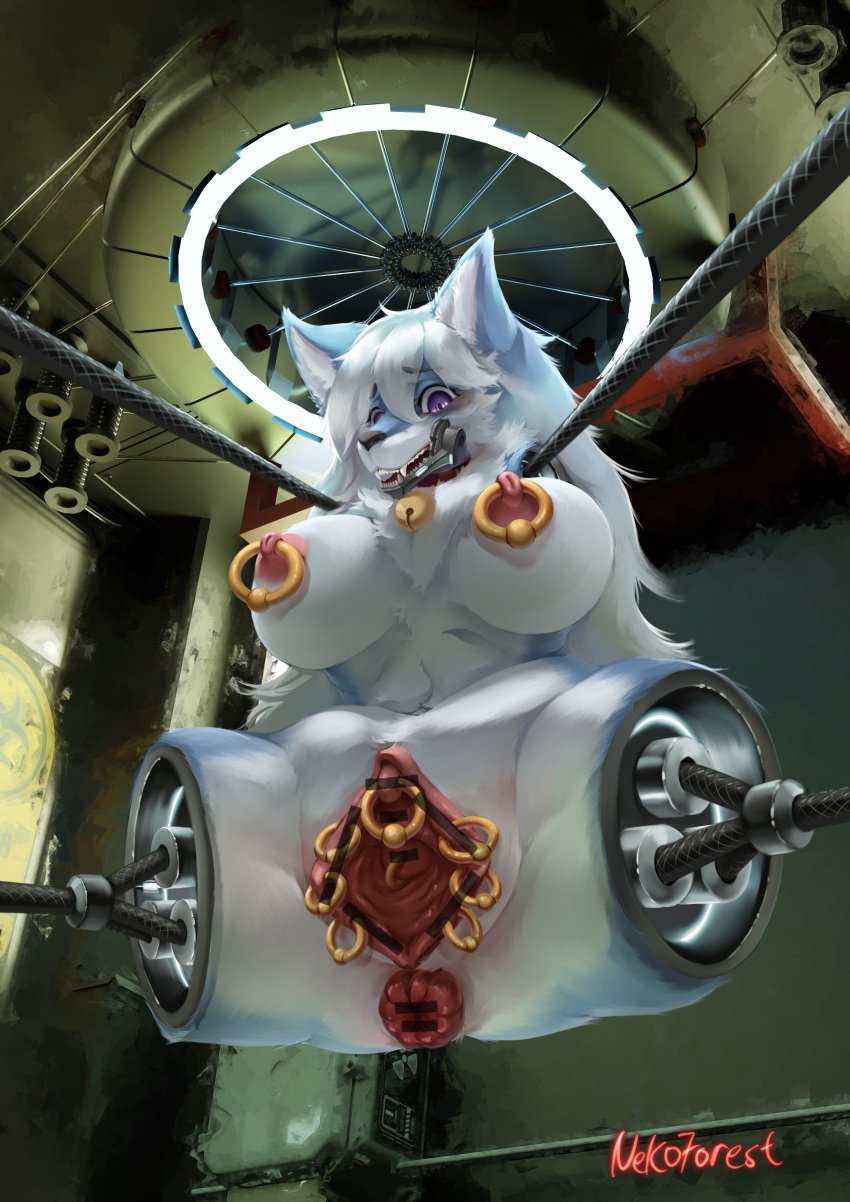 3d_background absurd_res amputee anthro anus areola bell bell_collar blue_body blue_fur bondage canid canine censored cervix cervix_piercing chest_tuft clitoris clitoris_piercing clitoris_ring collar cybernetic_jaw cybernetics cyborg disability fangs female fox fur gaping gaping_pussy genital_piercing genitals hair hi_res hyper_gape hyper_labia hyper_pussy inner_ear_fluff kresta_(kresta) labia_piercing long_hair long_labia looking_at_viewer machine mammal nekoforest nipple_piercing nipples piercing presenting_anus presenting_pussy puffy_anus pussy pussy_piercing pussy_ring quadruple_amputee restrained ring_piercing ruined_pussy solo spread_pussy suspension tuft white_body white_fur white_hair