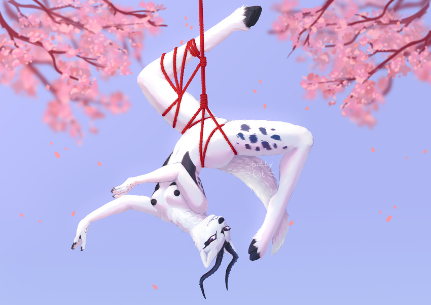 absurd_res antelope anthro beauty_(disambiguation) bondage bondage bound bovid breasts dragon female flower fur genitals hi_res hooves horn lilopka mammal nipples nude plant pussy restraints rope rope_bondage rope_harness sakura solo spotty.cat wool_(fur) ych_(character)