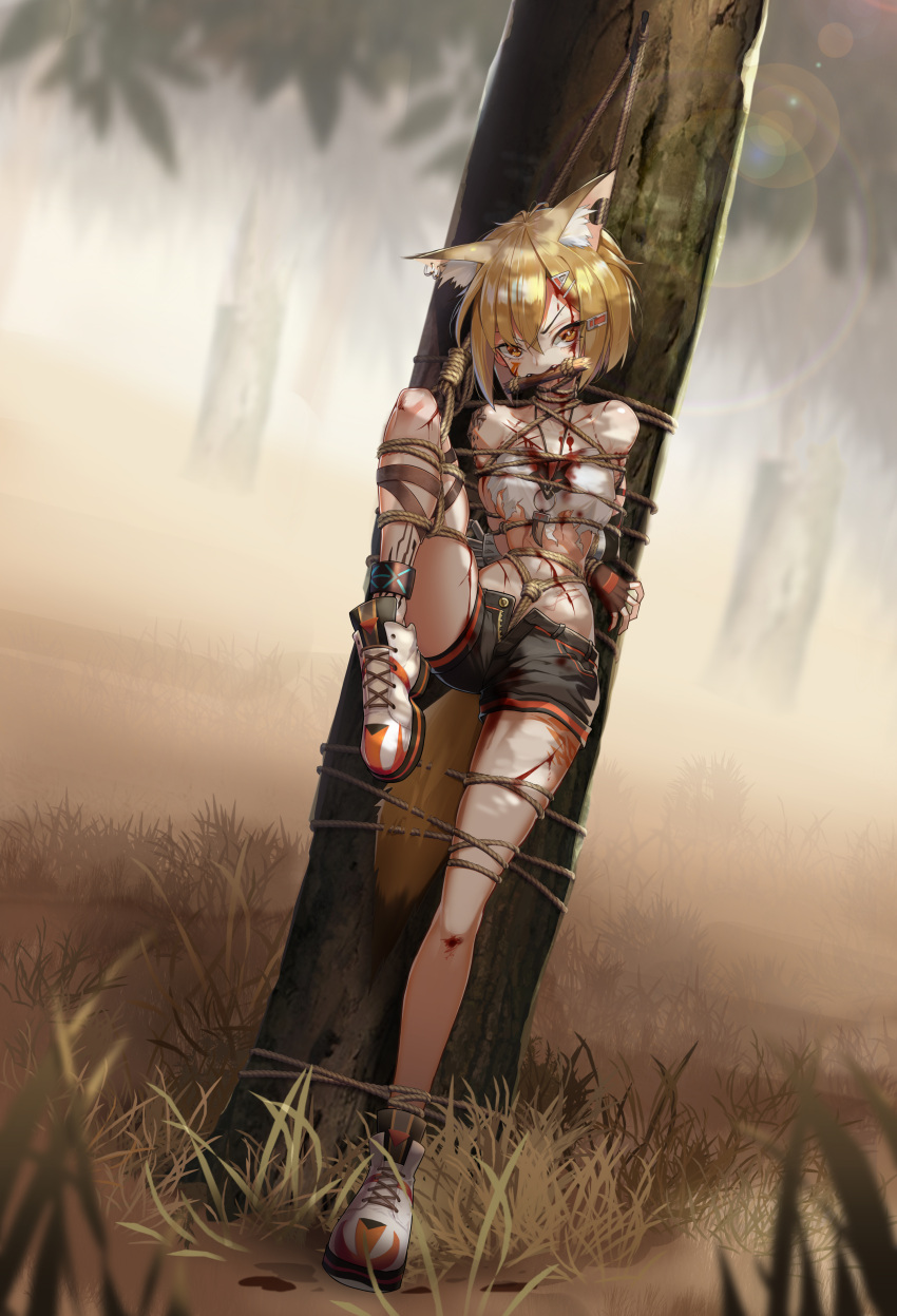 absurd_res accessory against_natural_surface against_surface against_tree animal_humanoid arknights blonde_hair blood bodily_fluids bondage bottomwear bound canid canid_humanoid canine canine_humanoid captured clothing defeated dipstick_tail ear_piercing female forest forest_background fox_humanoid hair hair_accessory hair_ribbon hi_res humanoid hypergryph inner_ear_fluff mammal mammal_humanoid markings midriff nature nature_background piercing plant restraints ribbons rope rope_bondage shinebell shorts solo studio_montagne tail_markings tied_up torn_clothing tree tuft vermeil_(arknights) video_games wounded