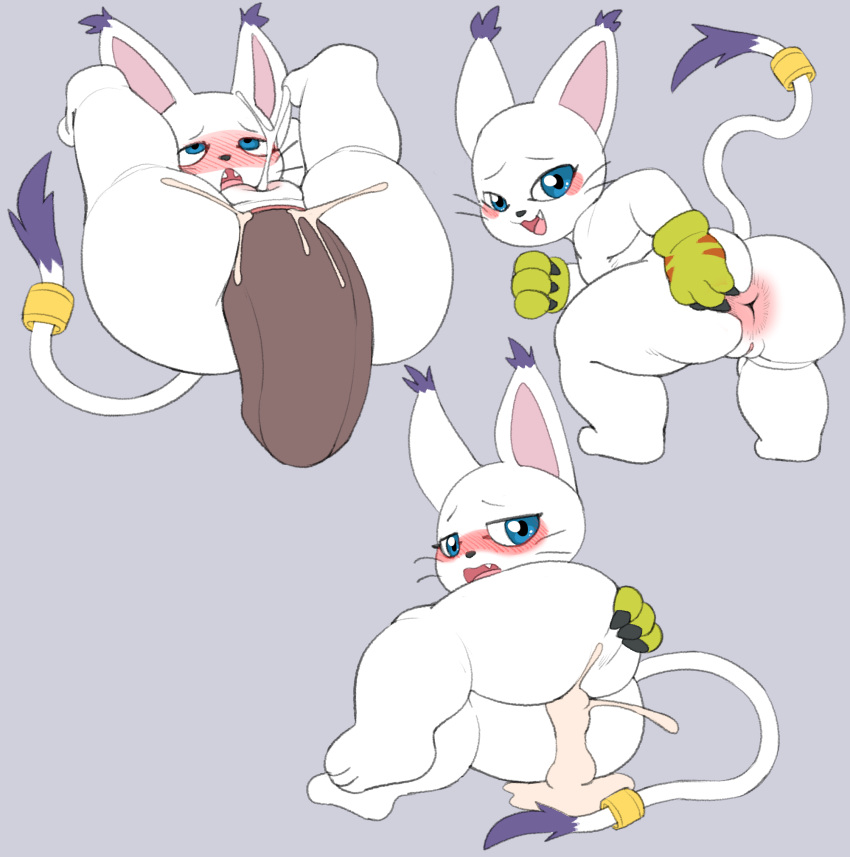 ass bandai_namco bodily_fluids cum digimon digimon_(species) fyoshi gatomon genital_fluids genitals hi_res penis pussy spreading