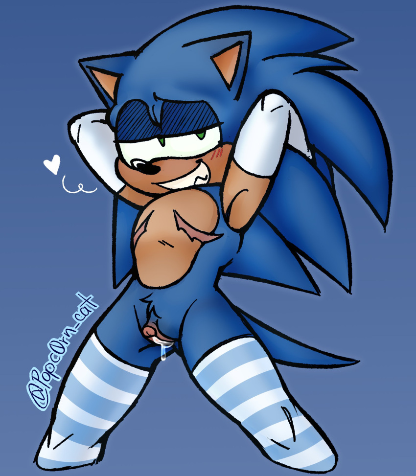 anthro cuntboy femboy intersex meowwabae popc0rn_cat pussy pussy_juice scars sonic_(series) sonic_the_hedgehog sonic_the_hedgehog_(series) stockings thick_thighs vagina