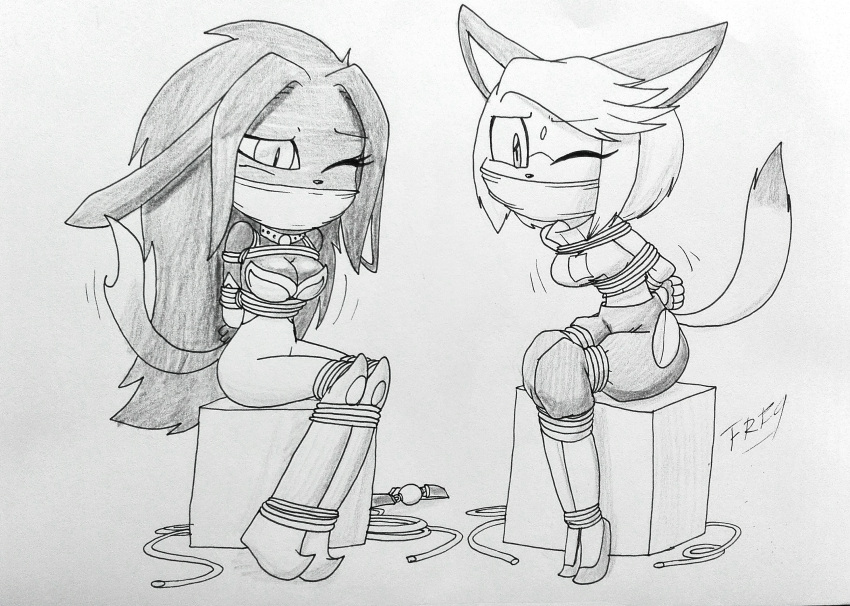 2girls anthro bondage bound commission damsel_in_distress duo fan_character female female_only frefer9 furry furry_only gagged jack22gt one_eye_closed original_character restrained sonic_(series) sonic_oc traditional_media_(artwork)