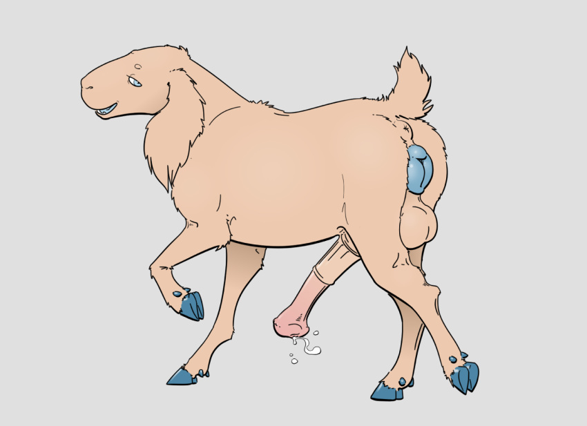 anatomically_inaccurate animal_genitalia animal_penis animal_pussy anus backsack balls bovid canine_genitalia canine_pussy caprine causationcorrelation cuntboy equine_genitalia equine_penis feral feral_only flared_penis full-package_cuntboy fur genitals goat half-erect herm hermaphrodite hooves intersex male maleherm mammal medial_ring mismatched_animal_penis mismatched_genitalia mismatched_penis mismatched_pussy multi_genitalia penis pussy quadruped solo tail