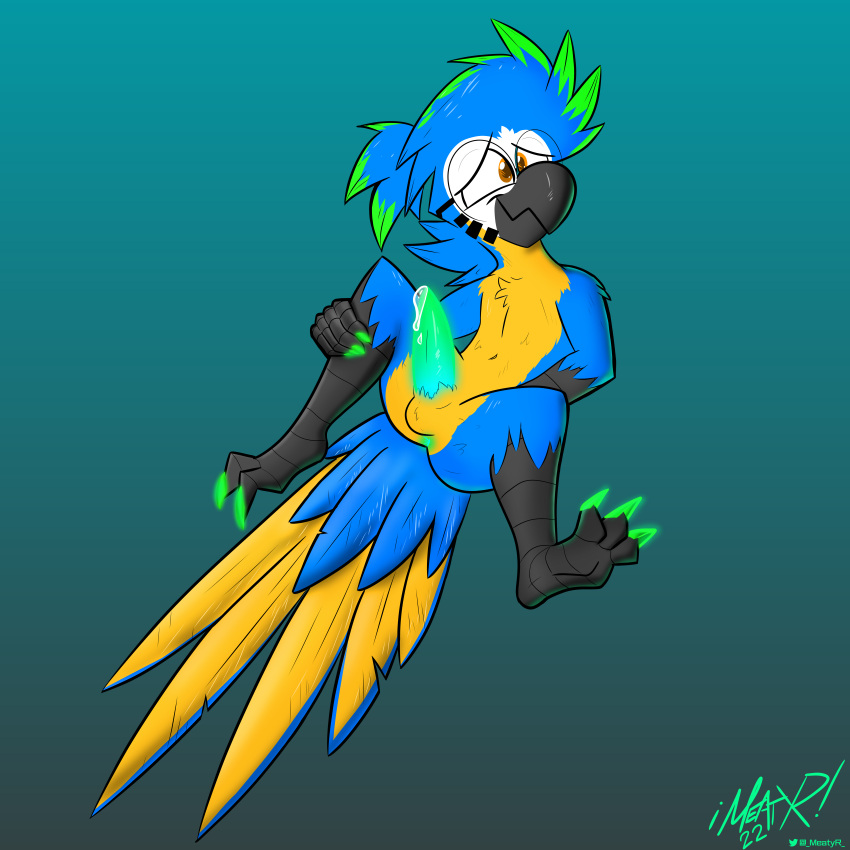 3_toes absurd_res anthro anus ara_(genus) ass avian beak bioluminescence bird bird_feet blue-and-yellow_macaw blue_body claws feathers feet genitals glowing glowing_anus glowing_claws glowing_genitalia glowing_penis green_claws hi_res macaw male meatyr mitchell_(meatyr) neotropical_parrot nervous_smile parrot penis presenting presenting_hindquarters presenting_penis solo spread_legs spreading tail_feathers toes true_parrot yellow_body yellow_feathers