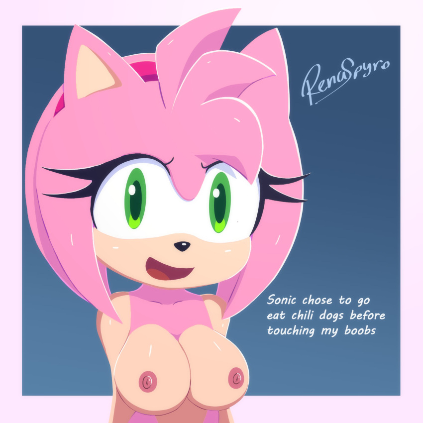 amy_rose cute hedgehog pink_fur pink_hair renaspyro sonic_(series)