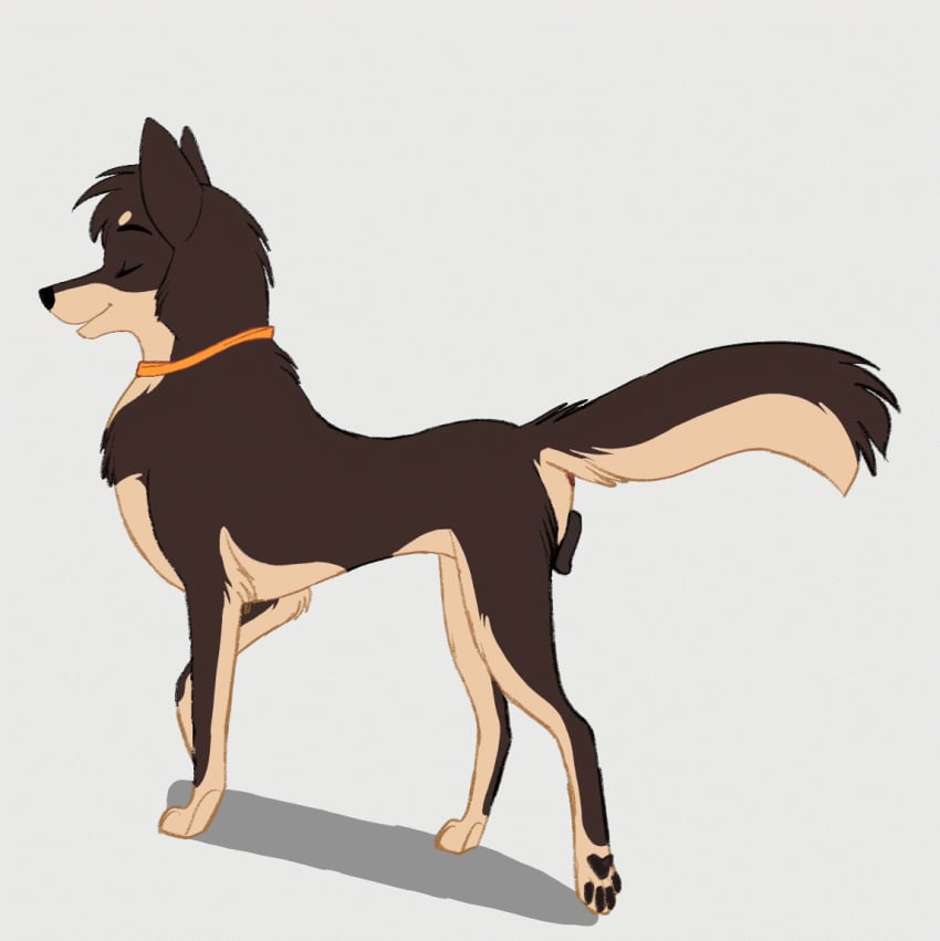 anatomically_correct animal_genitalia animal_pussy animated anus canid canine canine_pussy canis domestic_dog female feral genitals jet_(ishan) lapphund lapponian_herder mammal neckerchief paws pussy solo solo_female spitz tuwka walk_cycle