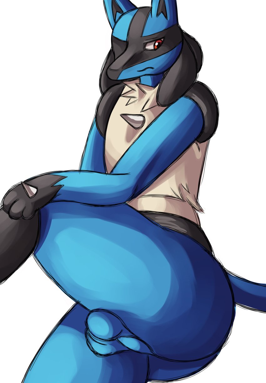 absurd_res akenju anthro ass backsack balls big_butt blue_body blue_fur canid canine fur generation_4_pokemon genitals hand_spike hi_res looking_away lucario male male_only mammal multicolored_body multicolored_fur nintendo nude pokemon pokemon_(species) presenting solo thick_thighs video_games white_background