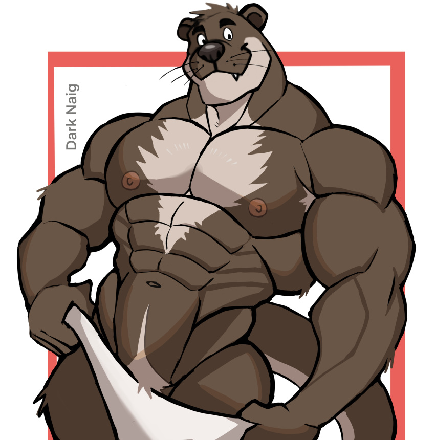 2022 abs absurd_res anthro armpit_hair artist_name barazoku biceps big_muscles body_hair border covering covering_crotch covering_self darknaigart eyebrows fur hi_res huge_muscles looking_at_viewer lutrine male male_only mammal muscular muscular_anthro muscular_male mustelid navel nipples obliques pecs pubes red_border simple_background smile solo standing teeth towel tuft whiskers white_background