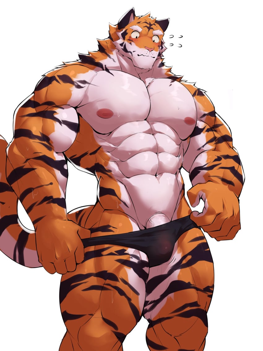 anthro bara barazoku barely_visible_genitalia black_underwear blush boner briefs bulge erection felid feline furry looking_at_penis looking_down male male_focus male_only mammal nervous nipples orange_fur original penis rann simple_background solid_color_background solo stripes sweat tagme tail tiger underwear veiny_penis white_background white_fur