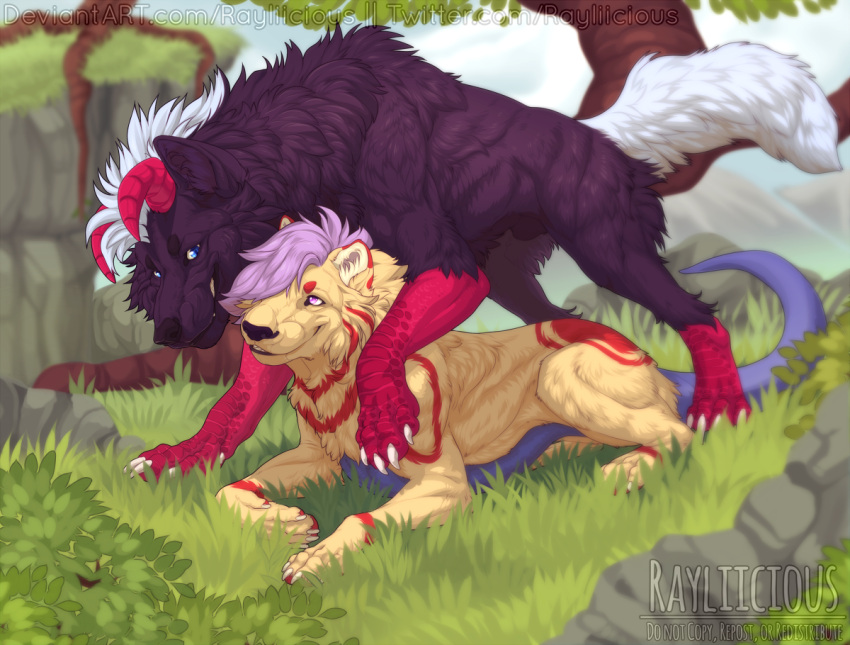 Socks (Marking) Rule 34 Image