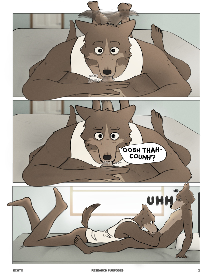 absurd_res andy_(echto) anthro bed bedroom bodily_fluids canid canine canis charlie_(echto) clothing cum cum_in_mouth cum_inside dialogue domestic_dog duo echto facial_markings father father_and_child father_and_son furniture genital_fluids head_markings hi_res male male/male mammal markings nude oral parent parent_and_child shirt son tail_motion tailwag tank_top topwear