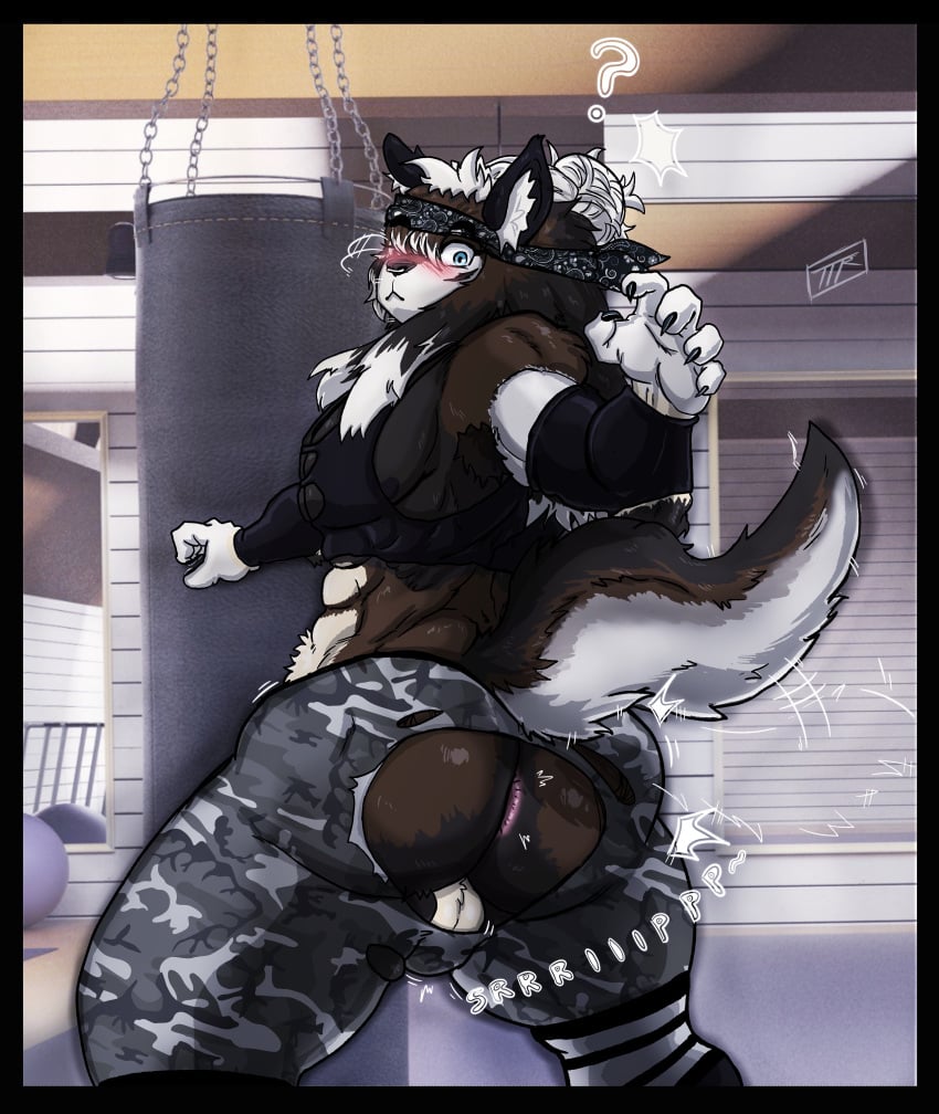 1boy accidental_exposure anthro bandana big_ass big_butt black_armwear blue_eyes blush brown_fur camouflage_print canine canine_humanoid claws digital_media_(artwork) dog_humanoid embarrassed fluffy_tail gym_clothing hi_res highres himbo kojoarts male_only motion_lines muscular_male naughtypaw_(artist) punching_bag question_mark ripped ripped_pants solo tan_fur thick_thighs ttherandom tthrandom tthrandom_rp twitch_lines wardrobe_malfunction white_fur whoops