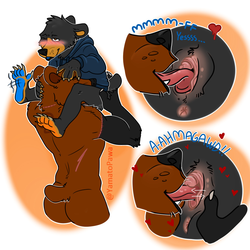 absurd_res anthro black_bear blush brown_bear cunnilingus duo hi_res male male/male mammal nafeon on_the_edge oral sex size_difference ursid ursine vaginal_penetration yamato_burr yamatopawa