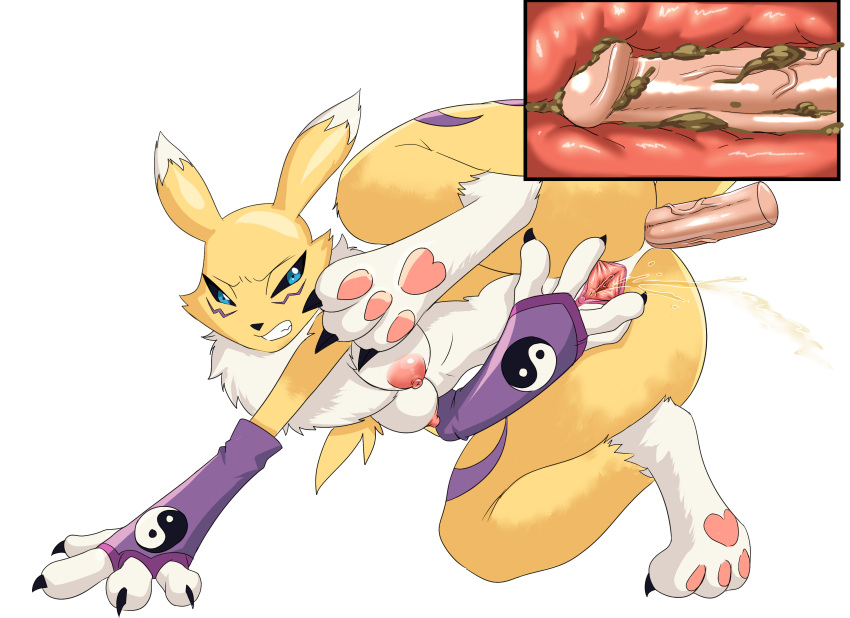 anal digimon dirty_anal furry inside_view legs_up nikuyoku peeing pussy raised_tail renamon scat tail unseen_male_face watersports x-ray yellow_fur