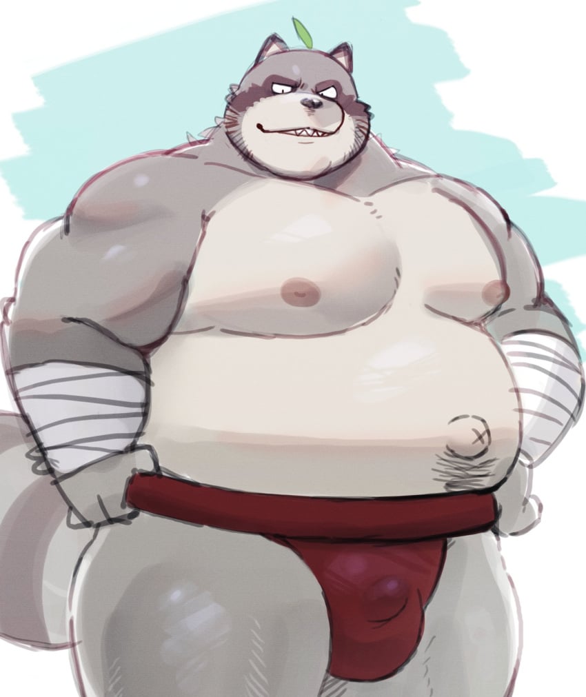 1boy 2022 anthro asian_clothing bandage belly big_belly bulge canid canine clothing east_asian_clothing grey_body hi_res humanoid_hands japanese_clothing kemono male mammal mawashi moobs navel nipples overweight overweight_male raccoon_dog solo sumo sv_grart tanuki