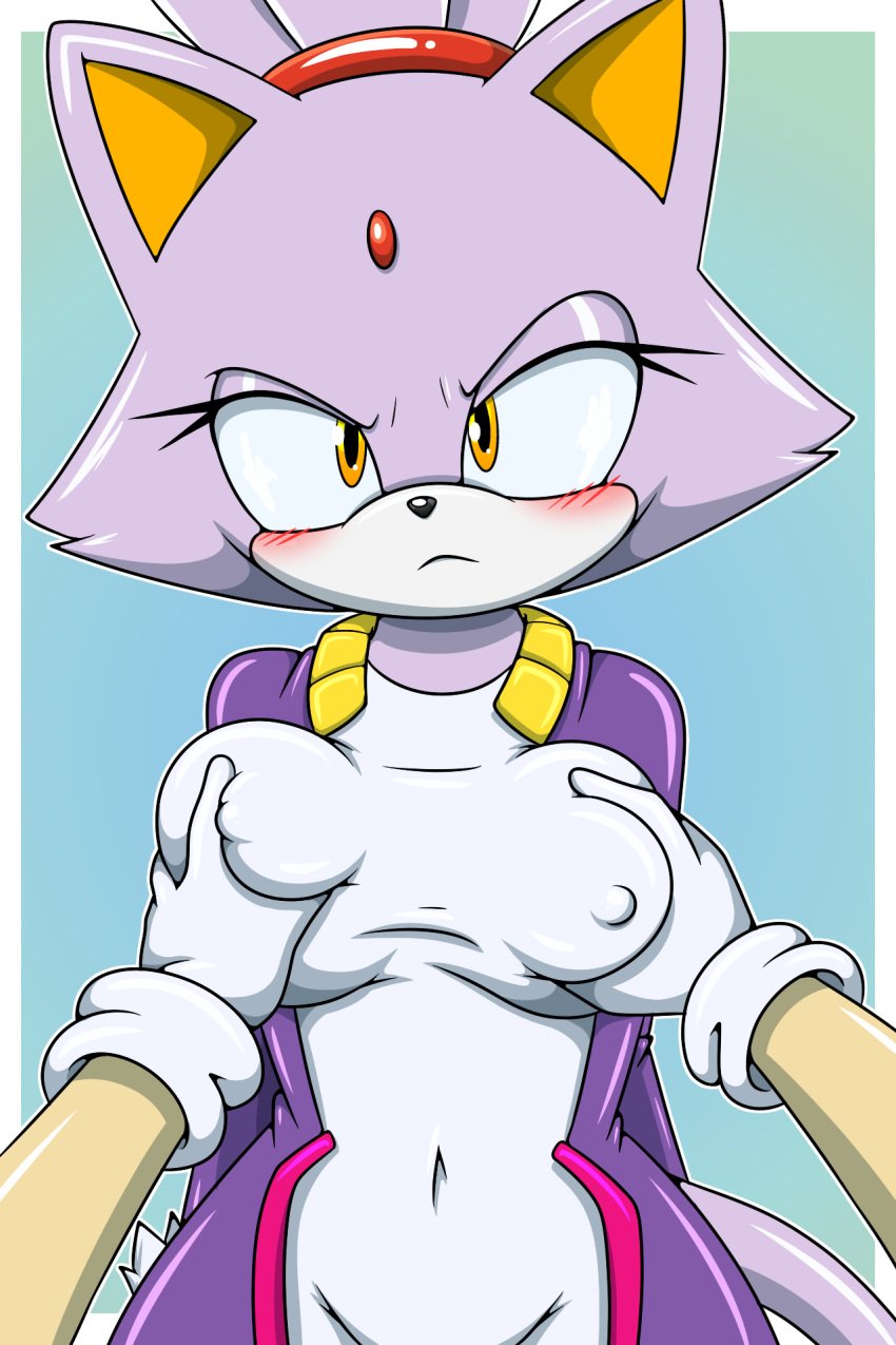 accessory angry anthro blaze_the_cat blush breast_grab breast_squeeze breasts clothed clothing domestic_cat felid feline female hi_res looking_at_viewer nipple_bulge nipples offscreen_character princess purple_body purple_fur royalty sega sonaze_ sonic_(series) sonic_the_hedgehog sonicguru yellow_eyes