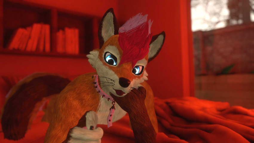 anthro atry black_claws blep blue_eyes brown_ears canid canine claws collar collar_and_leash collared fox fur furry furry_only leash looking_at_viewer on_bed orange_background orange_fur pink_collar pink_hair red_hair red_tongue selfie vr_media white_belly white_fur