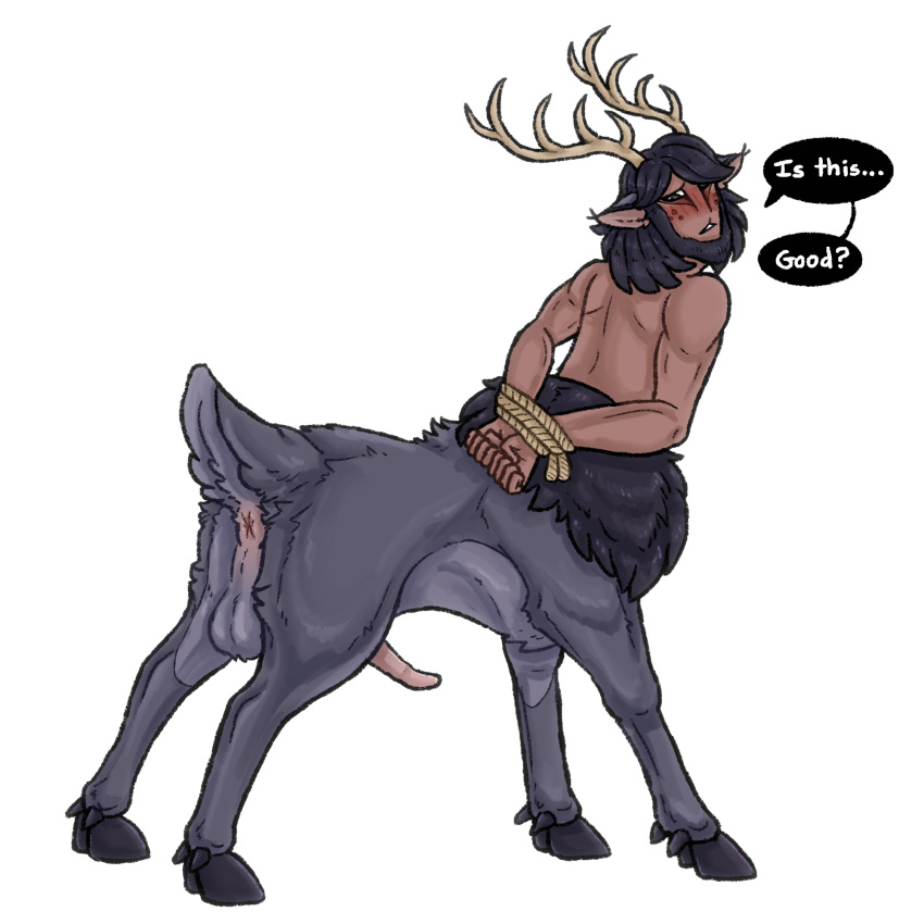 antlers anus balls blush bound centaurworld cervid cervid_taur cervine deer_taur dialogue elk facial_hair freckles genitals hands_behind_back hands_tied hi_res hooves horn looking_back male male_only mammal mammal_taur netflix penis presenting raised_tail rope solo syndhart taur the_nowhere_king_(centaurworld)