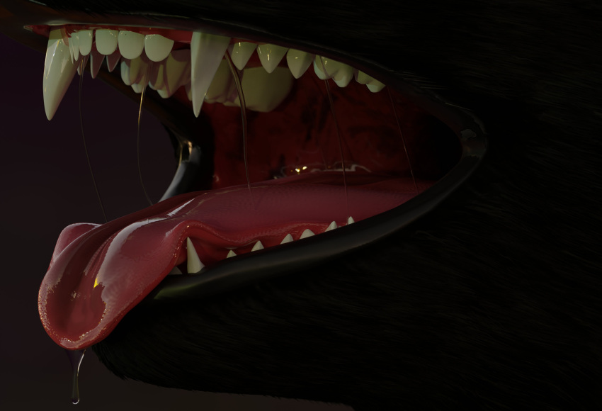 3d 3d_(artwork) anthro black_fur blender drool drool_string drooling drooling_tongue furry kiwidox_(artist) maw_shot mawshot open_mouth pink_tongue rexouium saliva saliva_drip saliva_string salivating simple_background tongue_out vr_media