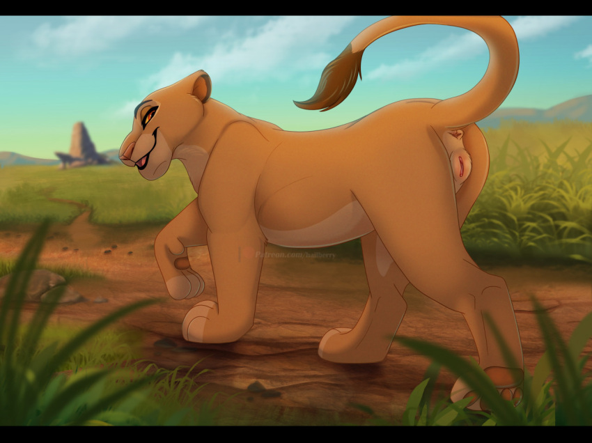 anus black_bars disney felid female feral furry genitals hailberry letterbox lion mammal pantherine pride_rock pridelands pussy raised_tail rear_view sarabi solo tail_tuft the_lion_king tuft