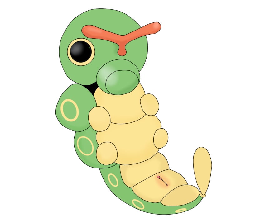 arthropod caterpie female feral generation_1_pokemon genitals hi_res honeyu nintendo nude pokemon pokemon_(species) pokemon_only presenting presenting_pussy pussy simple_background solo tagme video_games white_background