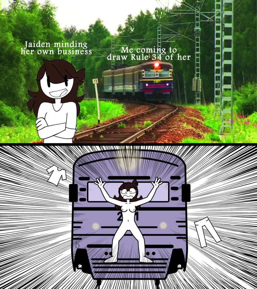 bad_ending forest humor i_like_trains jaiden jaiden_animations lmao lol meme mob_face png reposted run_over train youtube youtuber