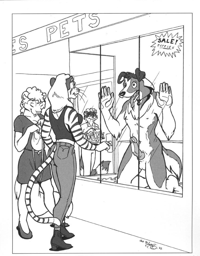 Associated Student Bodies Rule 34 Image