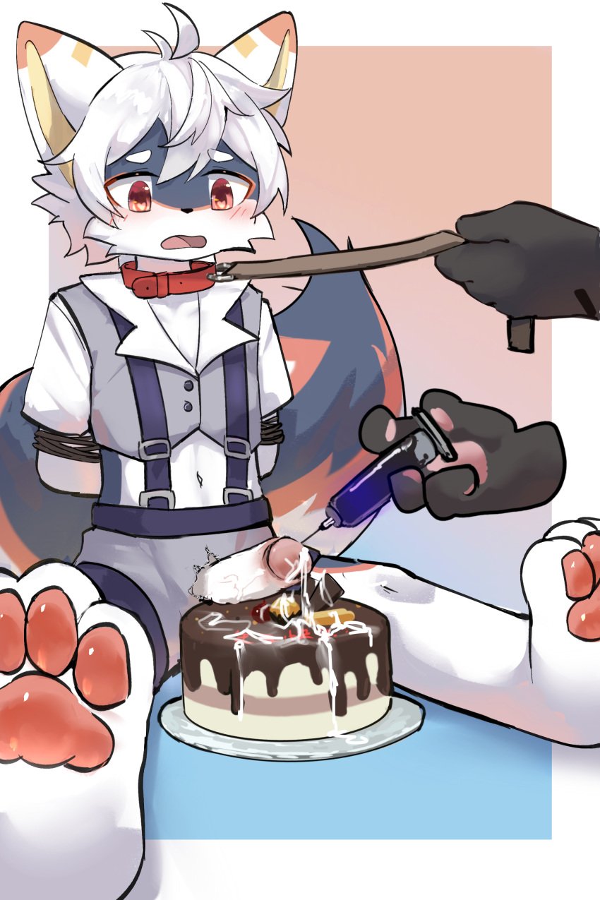 absurd_res artist_laggy birthday birthday_cake bodily_fluids bondage cake canid canine character_maoxian cum cum_on_cake cum_on_food cum_on_penis dessert duo food genital_fluids genitals hi_res injection male male/male mammal neck_tuft pawpads penis tuft