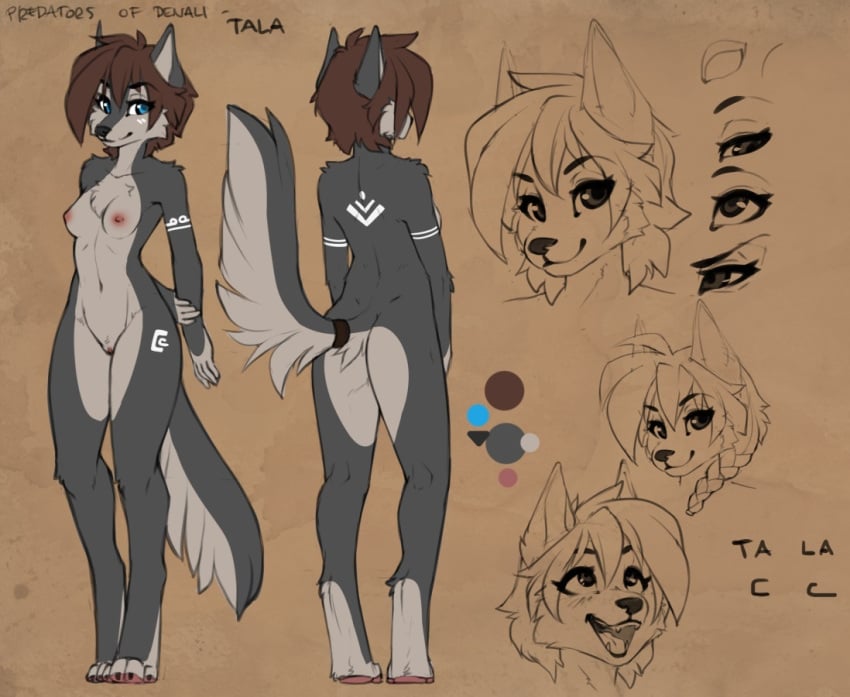 1girls animal_ears anthro blue_eyes breasts brown_hair canid canine canis color concept_art cute design digitigrade female female_only fluff-kevlar fur fur_markings furry furry_female grey_body grey_fur hair mammal markings nude nude_female pussy solo tala_(fluff-kevlar) tribal uncensored wolf wolf_ears wolf_girl wolf_tail