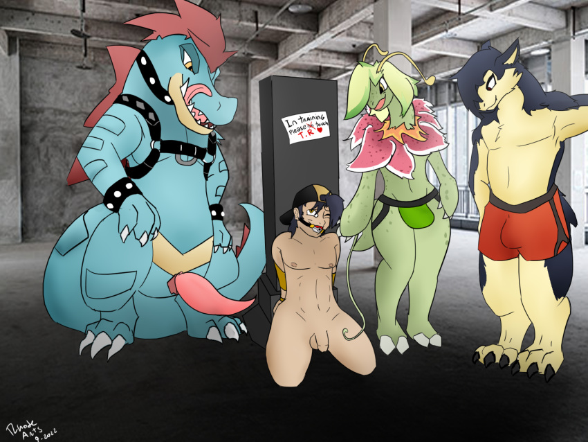 2_toes 3_toes 3pokemon 4:3 aged_up animal_genitalia animal_penis anthro anthro_dominating_human armband arms_tied ball_gag big_dom_small_sub bottomwear bound bulge claws clothing collar dominant dominant_anthro dominant_male erection ethan_(pokemon) fangs feraligatr fire_type gag gagged generation_2_pokemon genitals grass_type group harness hat headgear headwear hi_res human human_on_anthro humanoid interspecies jockstrap licking licking_lips male male/male mammal meganium nintendo nude pending penis poke_ball poke_ball_gag pokeball pokemon pokemon_(species) pokemon_gsc pokephilia reptile rhode_arts scalie shorts size_difference starter_pokemon starter_trio submissive submissive_human submissive_male tongue tongue_out trio typhlosion underwear video_games water_type