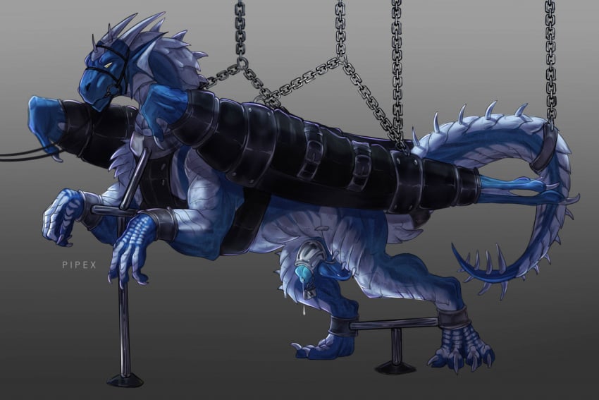 2022 anthro balls blue_body bodily_fluids bondage bound bridle chastity_cage chastity_device clothing collar cuffs_(disambiguation) dragon erection feral furry genital_fluids genitals handwear horn male mittens penis pipex precum restraints scalie solo spreader_bar straps wings wings_tied