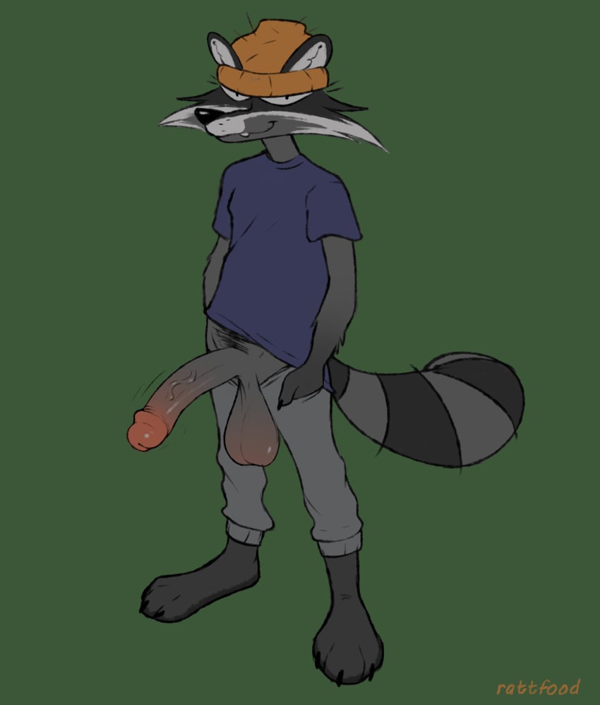 absurd_res anthro beanie big_penis clothed clothing genitals hat headgear headwear hi_res huge_cock hyper hyper_genitalia hyper_penis male mammal partially_clothed paws penis procyonid pubes raccoon rattfood smug solo toony