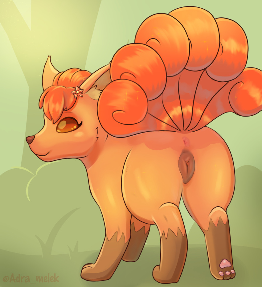 adra_(artist) animal_genitalia animal_pussy anus ass big_butt canid canine canine_pussy female feral generation_1_pokemon genitals hi_res mammal nintendo pokemon pokemon_(species) pussy rear_view simple_background solo video_games vulpix