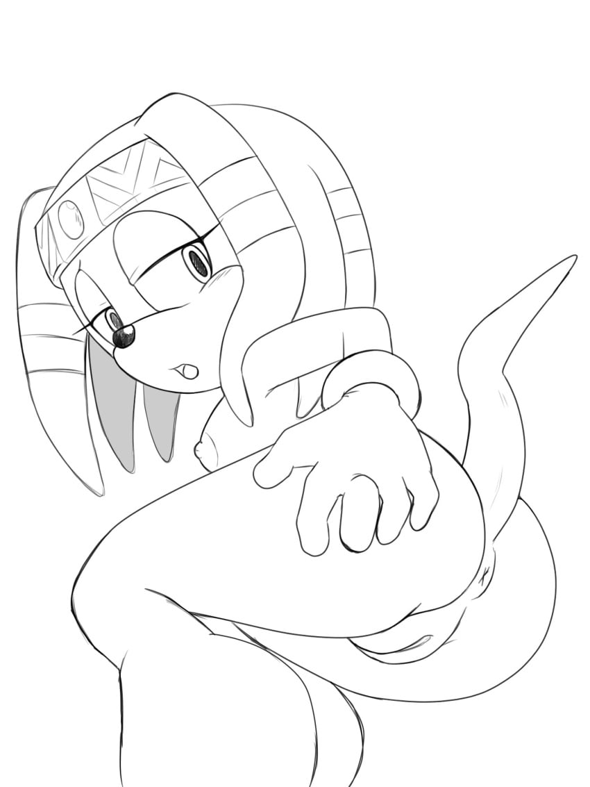 anthro anus female_only monochrome neo_x6 nude open_mouth presenting_hindquarters pussy solo sonic_(series) sonic_the_hedgehog_(series) tikal_the_echidna