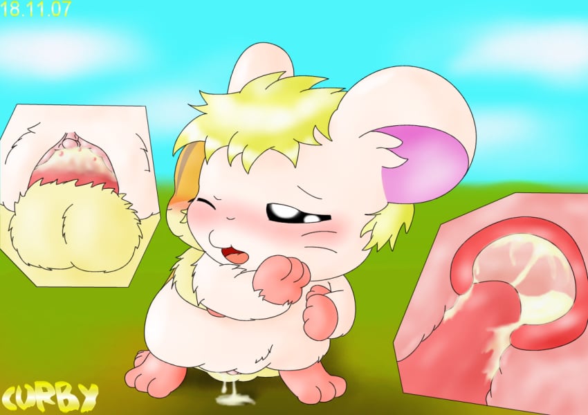 2007 blush cum curby female feral from_behind hamster hamtaro_(series) internal lapis_(hamtaro) male penetration sex stan_(hamtaro)