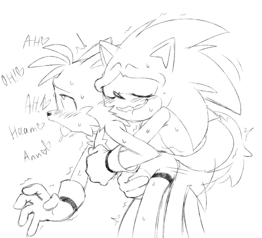 Miles Tails Prower (Sonic (Series)) Rule 34 Image