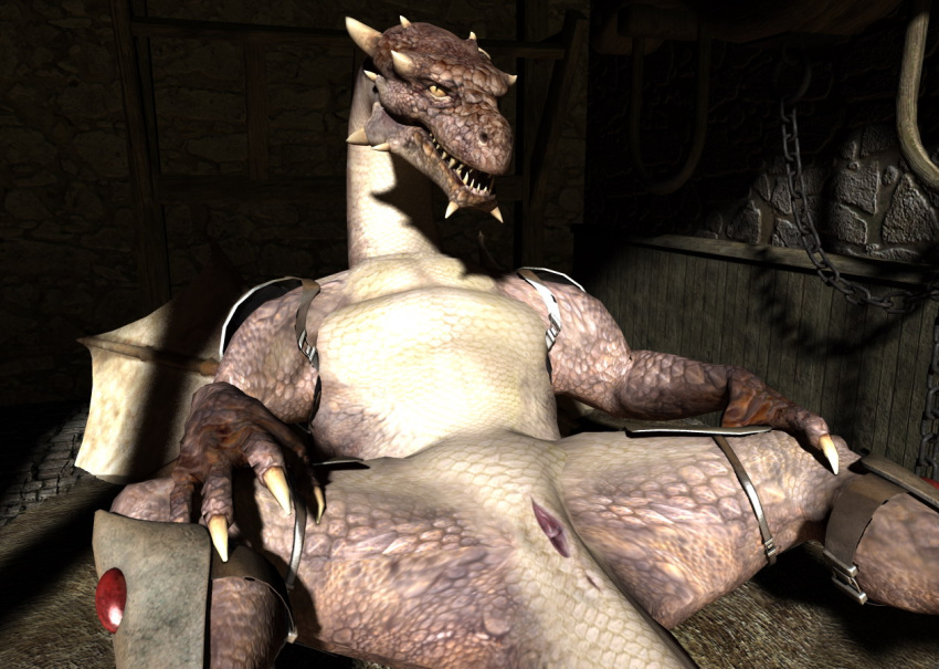 3d dragon female feral pussy scalie wooky