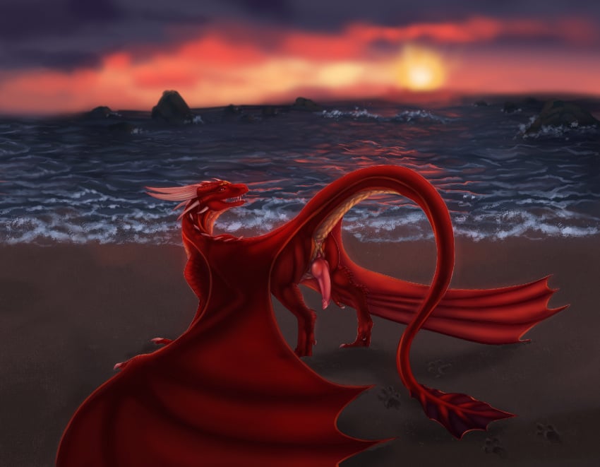 animal_genitalia aroused ass beach claws dragon edragar erection genitals greydragonofthenorth hi_res horn looking_at_viewer looking_back male membrane_(anatomy) membranous_wings original original_character penis presenting presenting_hindquarters raised_tail red_body red_scales reptile sand scales scalie seaside seductive slit solo sunset water wave western western_dragon wings