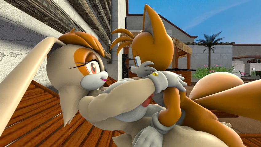 3d 3d_(artwork) anthro areola eyelashes female gloves lipstick male male/female mature_female palm_tree public public_nudity public_sex sega self_upload sex smackrabbit sonic_(series) sonic_the_hedgehog_(series) source_filmmaker tagme tail tails vanilla_the_rabbit wooden_floor younger_male