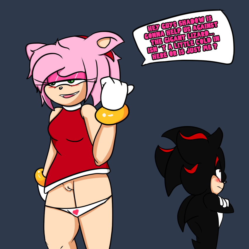 after_sex amy_rose anthro blush clothing clothing_pull duo female hi_res male male/female panties panty_pull romantic sega shadow_the_hedgehog sonic_(series) sonic_the_hedgehog_(series) soulyagami64 underwear underwear_pull