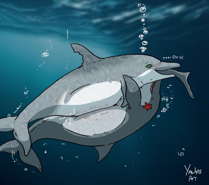 Starfish (Accessory) Rule 34 Image
