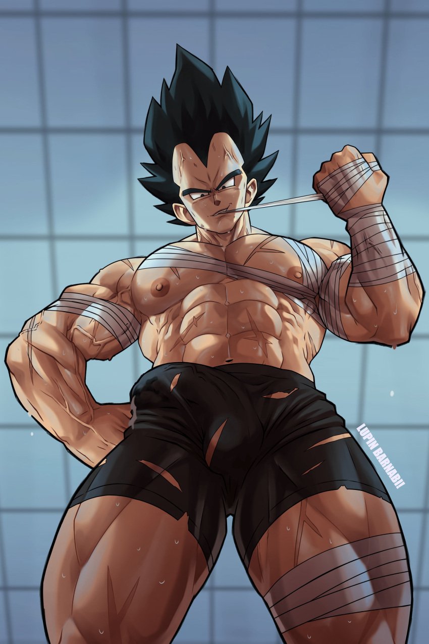 1boy balls bandages bara big_balls big_penis black_hair boner bulge dragon_ball dragon_ball_z erection erection_under_clothes from_below low-angle_view lupin_barnabi male male_only muscles muscular muscular_male penis ripped_clothing ripped_pants saiyan scars scars_all_over solo solo_male sweaty torn_clothes vegeta worm's-eye_view