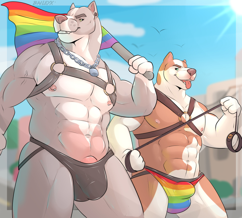 baileyx canid canine canis domestic_dog duo hi_res lgbt_pride male male/male male_only mammal pit_bull pride_(disambiguation) rainbow_flag